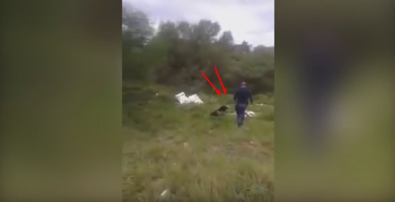 Polisi Ini Lari Secepatnya Setelah Anjing Pengendusnya Menemukan Sesuatu Yang Mencurigakan