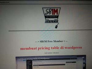 materi-kursus-internet-marketing-sb1m-membuat-pricing-table-di-wordpress