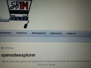 Materi Training Bisnis Online SB1M Open Site Explorer