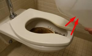 Hanya Dengan Cairan Ajaib Ini, Toilet Kamu Bisa Bersih Seketika!