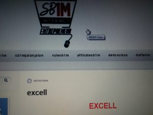 Materi Pelatihan Internet Marketing SB1M Excel