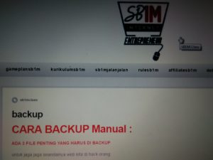 Materi Sekolah Bisnis Online SB1M Backup