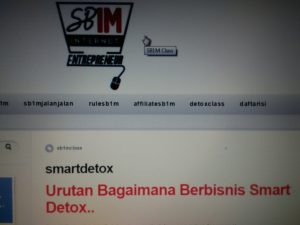 Materi Komunitas Bisnis Online SB1M Smart DETOX
